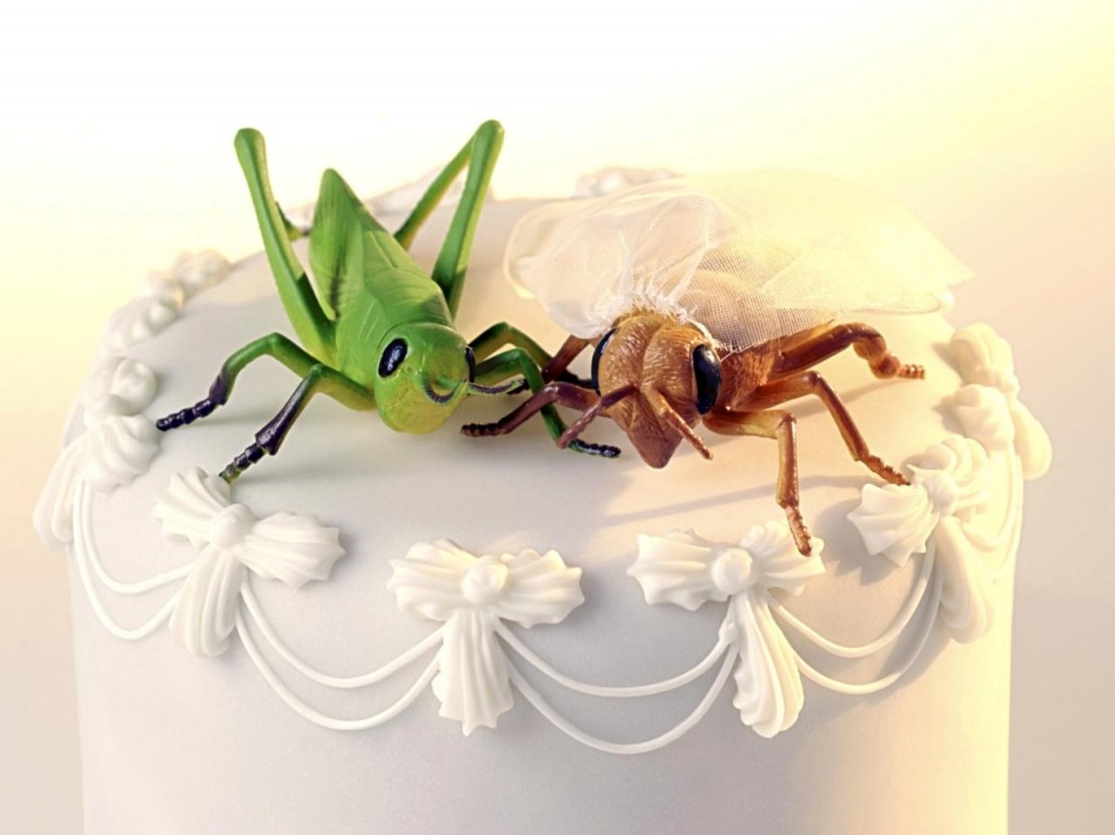 TS-78033753_wedding-cake-topper-grasshopper-spider_h.jpg.rend.hgtvcom.1280.960