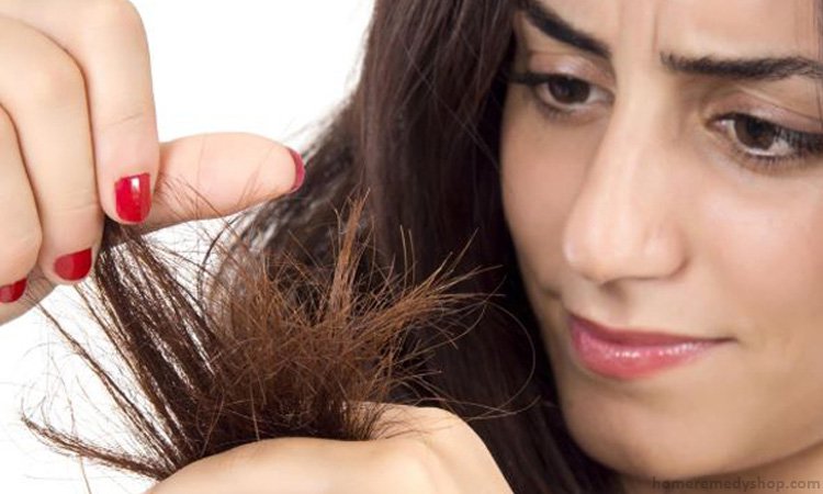 Home-Remedies-for-Treating-Split-Ends