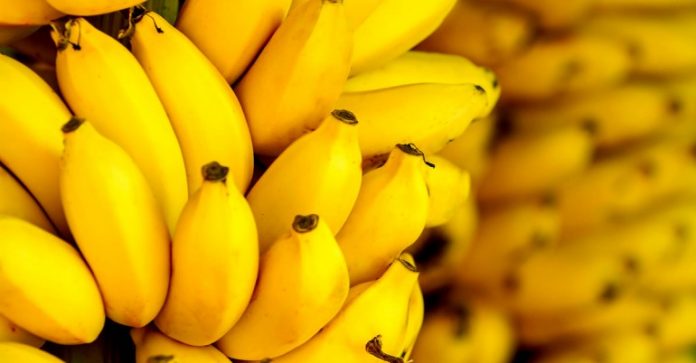 Is-Banana-A-Weight-Gain-Or-Weight-Loss-Fruit-ft-770x402-696x363