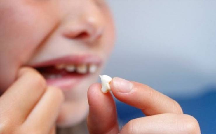 Ārsti lūdz vecākus visā pasaulē glabāt savu bērnu piena zobus